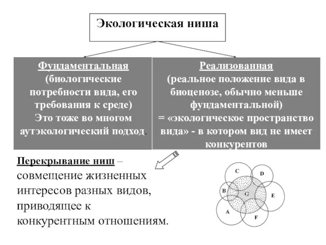 Фундаментальная (биологические потребности вида, его требования к среде) Это тоже