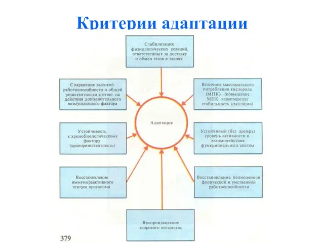 Критерии адаптации