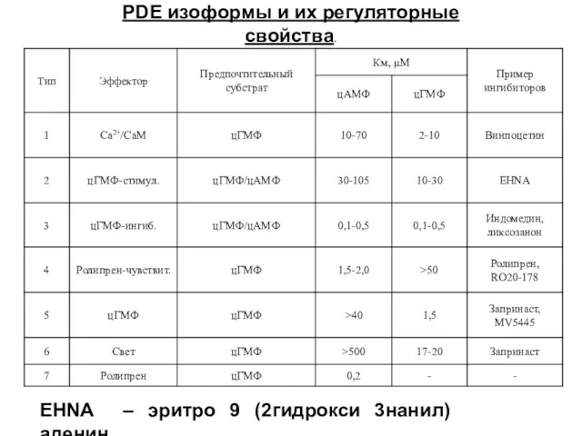 PDE изоформы и их регуляторные свойства. EHNA – эритро 9 (2гидрокси 3нанил) аденин.