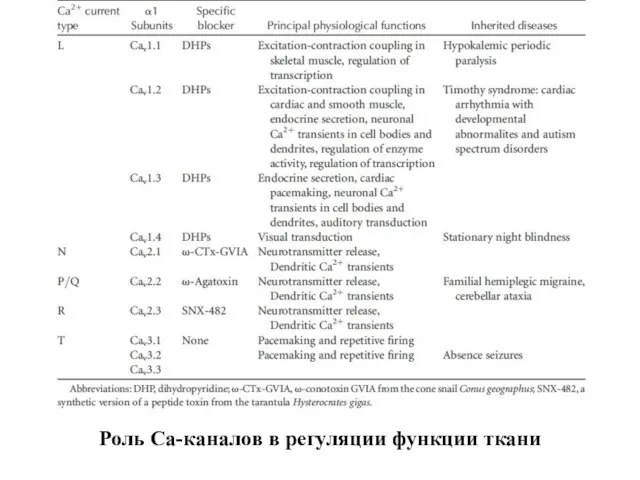 Роль Са-каналов в регуляции функции ткани