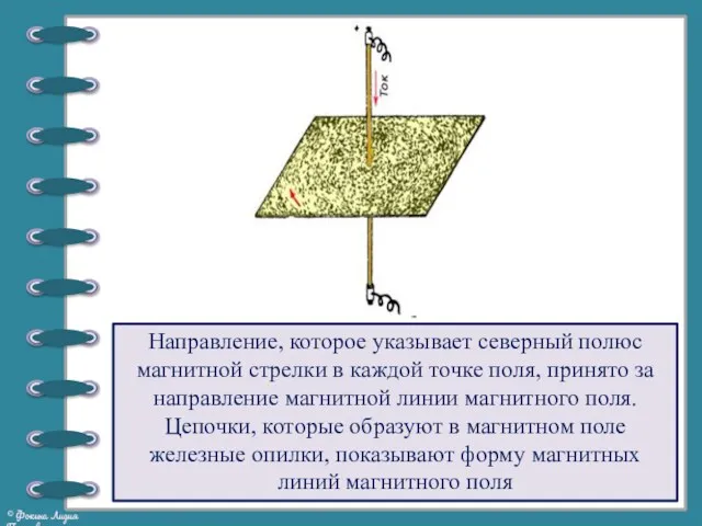 Направление, которое указывает северный полюс магнитной стрелки в каждой точке