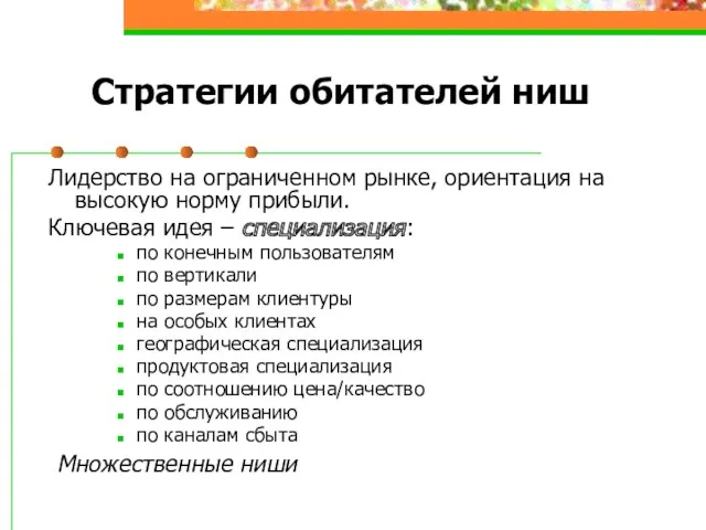 Стратегии обитателей ниш Лидерство на ограниченном рынке, ориентация на высокую