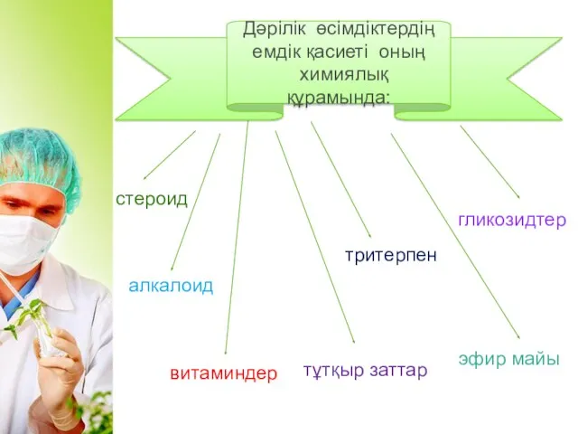 тұтқыр заттар стероид тритерпен гликозидтер алкалоид витаминдер эфир майы Дәрілік өсімдіктердің емдік қасиеті оның химиялық құрамында: