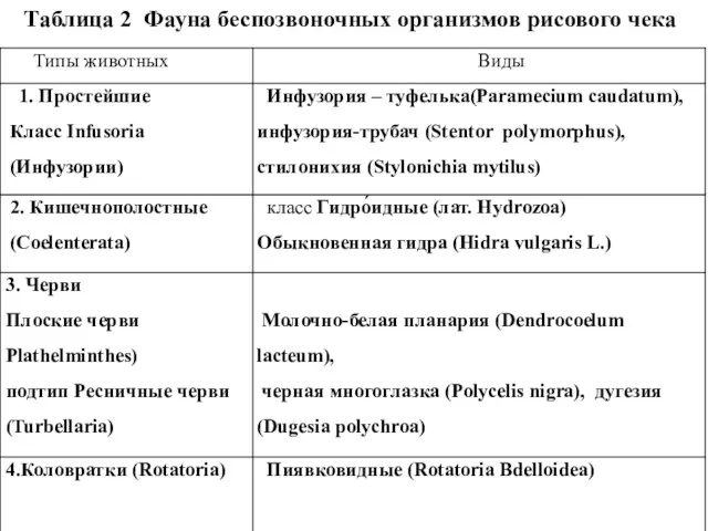 Таблица 2 Фауна беспозвоночных организмов рисового чека