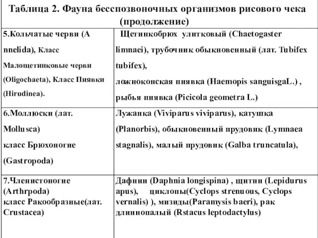 Таблица 2. Фауна бесспозвоночных организмов рисового чека (продолжение)