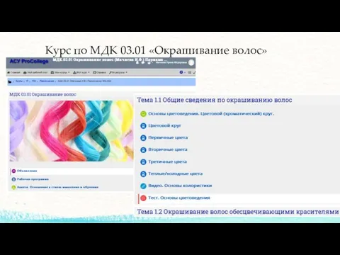 Курс по МДК 03.01 «Окрашивание волос»