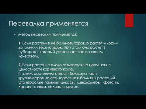 Перевалка применяется Метод перевалки применяется: 1. Если растение не больное,