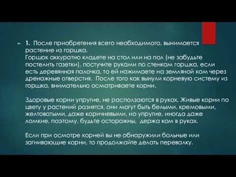 1. После приобретения всего необходимого, вынимается растение из горшка. Горшок