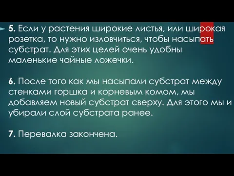 5. Если у растения широкие листья, или широкая розетка, то