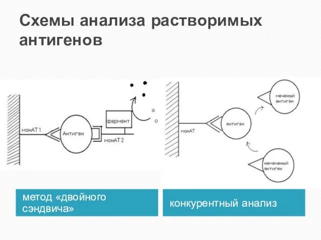 Схемы анализа растворимых антигенов метод «двойного сэндвича» конкурентный анализ