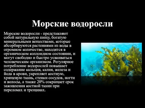 Морские водоросли Морские водоросли - представляют собой натуральную пищу, богатую