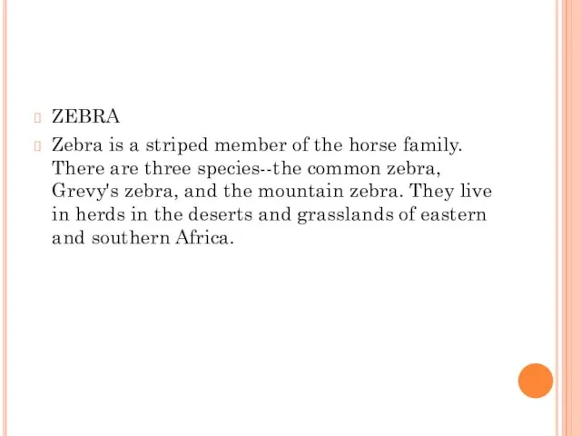 ZEBRA Zebra is a striped member of the horse family.