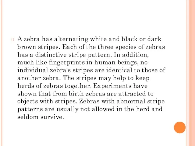 A zebra has alternating white and black or dark brown