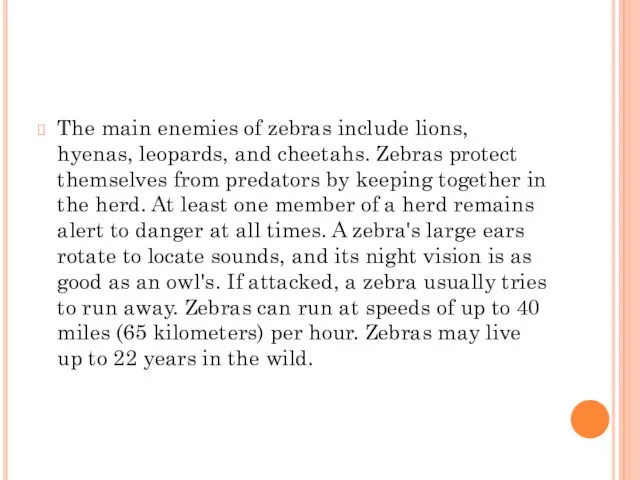The main enemies of zebras include lions, hyenas, leopards, and