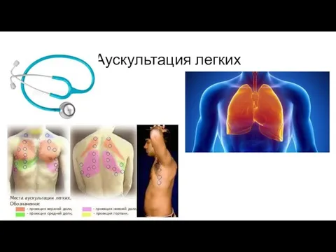 Аускультация легких