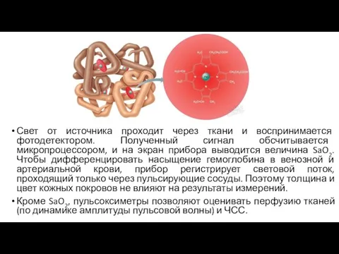 Свет от источника проходит через ткани и воспринимается фотодетектором. Полученный сигнал обсчитывается микропроцессором,