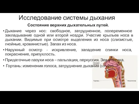 Исследование системы дыхания Состояние верхних дыхательных путей. Дыхание через нос: свободное, затрудненное, попеременное