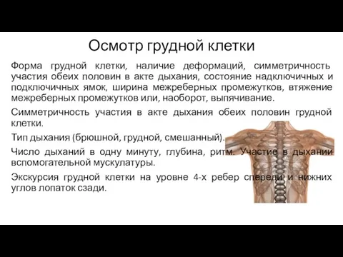 Осмотр грудной клетки Форма грудной клетки, наличие деформаций, симметричность участия обеих половин в