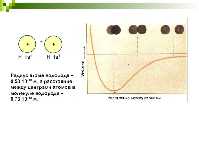Радиус атома водорода – 0,53 10-10 м, а расстояние между