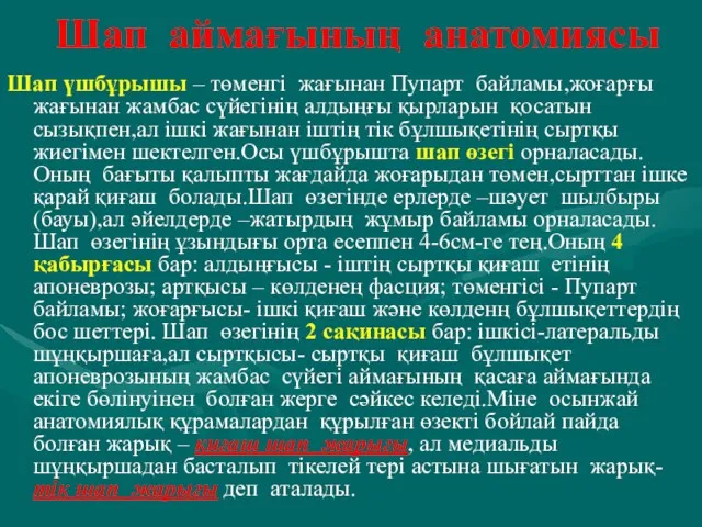 Шап аймағының анатомиясы Шап үшбұрышы – төменгі жағынан Пупарт байламы,жоғарғы жағынан жамбас сүйегінің