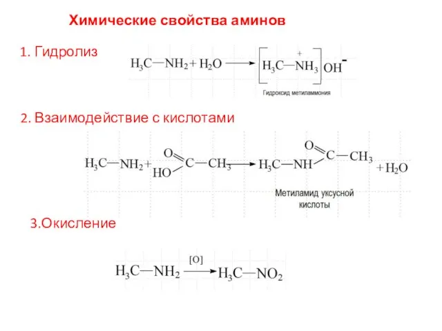 Химические свойства аминов 1. Гидролиз 2. Взаимодействие с кислотами 3.Окисление