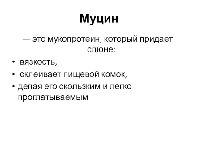 Муцин — это мукопротеин, который придает слюне: вязкость, склеивает пищевой