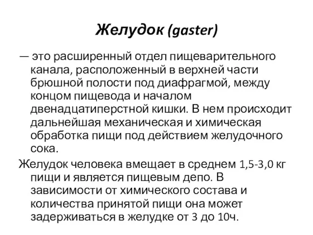 Желудок (gaster) — это расширенный отдел пищеварительного канала, расположенный в