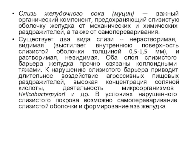 Слизь желудочного сока (муцин) — важный органический компонент, предохраняющий слизистую