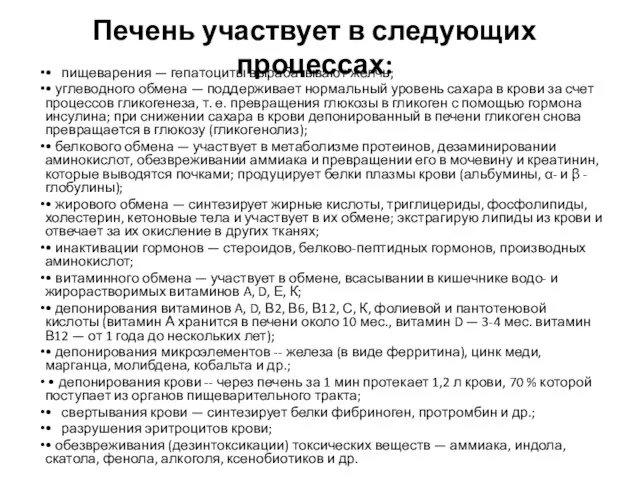 Печень участвует в следующих процессах: • пищеварения — гепатоциты вырабатывают