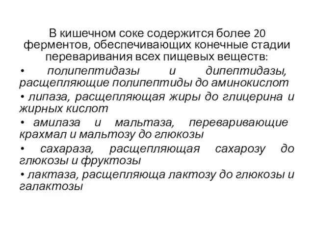 В кишечном соке содержится более 20 ферментов, обеспечивающих конечные стадии