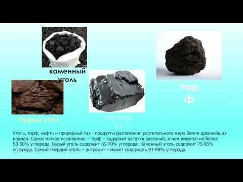 Уголь, торф, нефть и природный газ - продукты разложения растительного