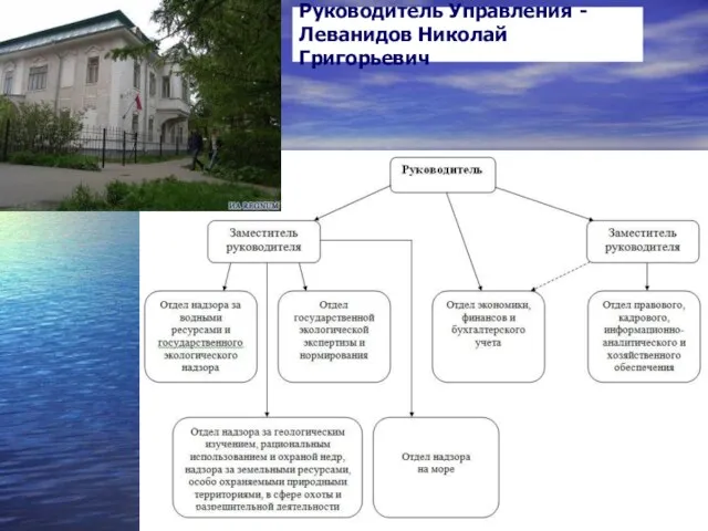 Руководитель Управления - Леванидов Николай Григорьевич