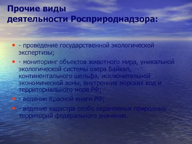 Прочие виды деятельности Росприроднадзора: - проведение государственной экологической экспертизы; -