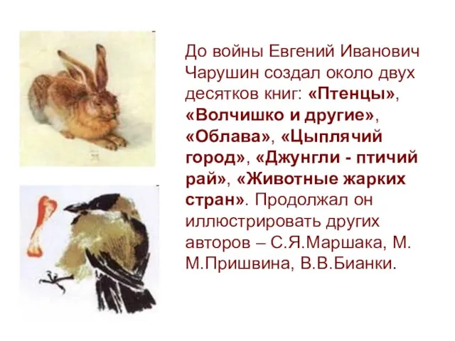 До войны Евгений Иванович Чарушин создал около двух десятков книг: «Птенцы», «Волчишко и