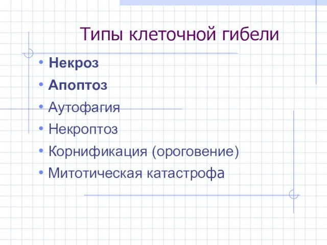 Типы клеточной гибели Некроз Апоптоз Аутофагия Некроптоз Корнификация (ороговение) Митотическая катастрофа