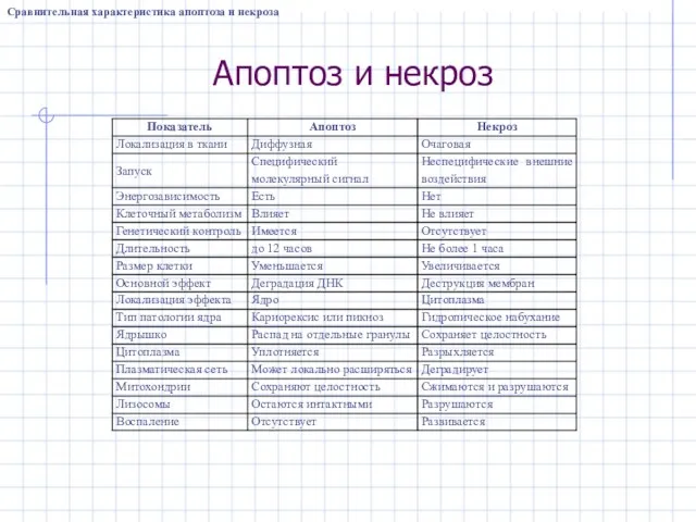 Апоптоз и некроз Сравнительная характеристика апоптоза и некроза