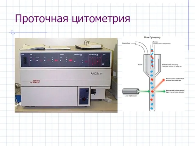 Проточная цитометрия