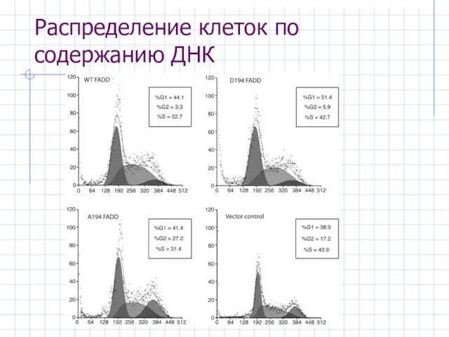 Распределение клеток по содержанию ДНК