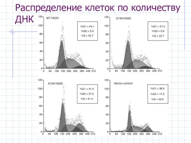 Распределение клеток по количеству ДНК