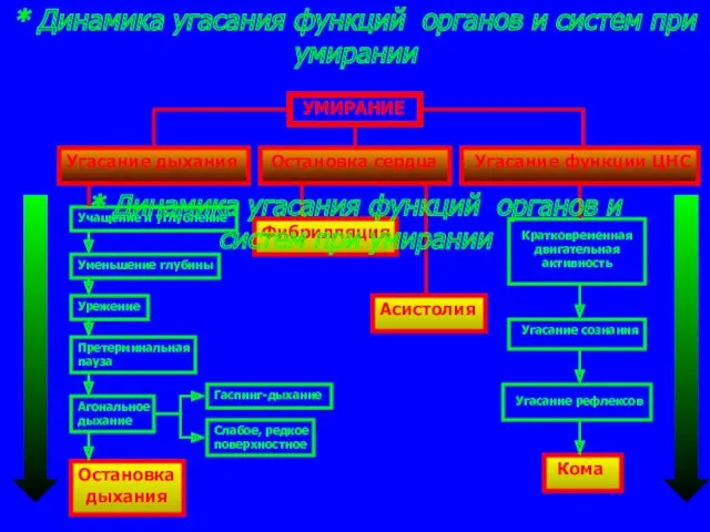 * Динамика угасания функций органов и систем при умирании УМИРАНИЕ Угасание дыхания Остановка