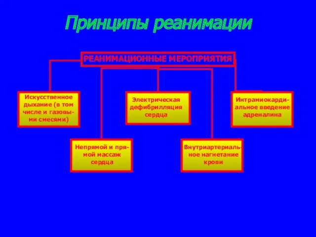 Принципы реанимации РЕАНИМАЦИОННЫЕ МЕРОПРИЯТИЯ Искусственное дыхание (в том числе и