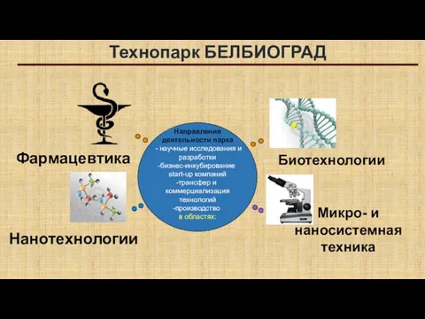 Направления деятельности парка - научные исследования и разработки бизнес-инкубирование start-up