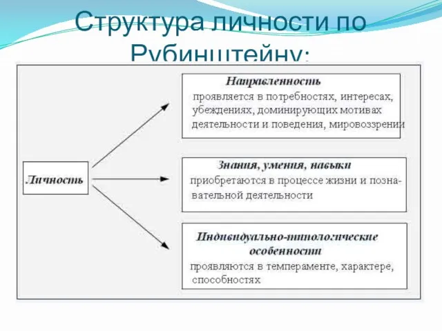 Структура личности по Рубинштейну: