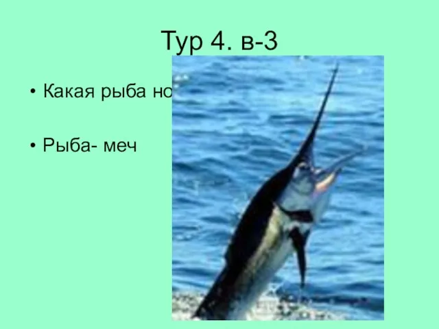 Тур 4. в-3 Какая рыба носит оружие на носу? Рыба- меч