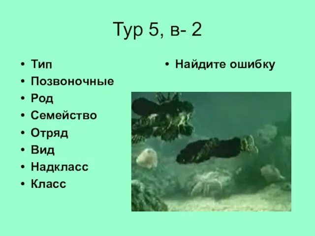 Тур 5, в- 2 Тип Позвоночные Род Семейство Отряд Вид Надкласс Класс Найдите ошибку