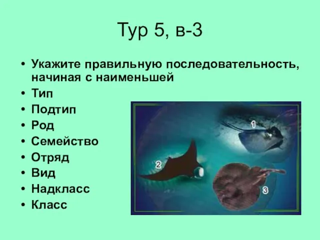 Тур 5, в-3 Укажите правильную последовательность, начиная с наименьшей Тип