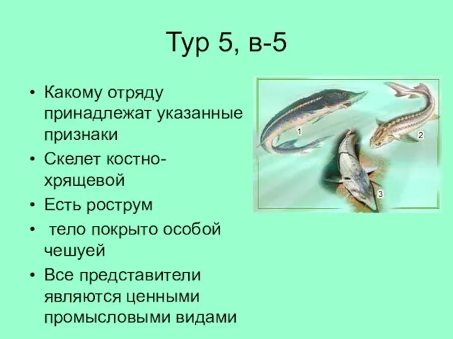 Тур 5, в-5 Какому отряду принадлежат указанные признаки Скелет костно-