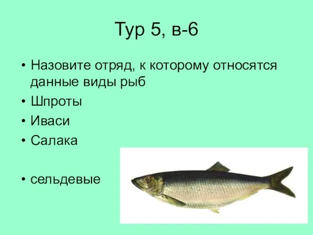 Тур 5, в-6 Назовите отряд, к которому относятся данные виды рыб Шпроты Иваси Салака сельдевые