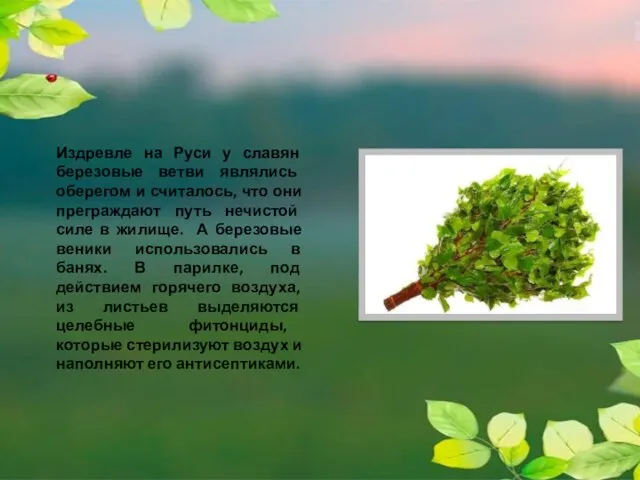 Издревле на Руси у славян березовые ветви являлись оберегом и считалось, что они