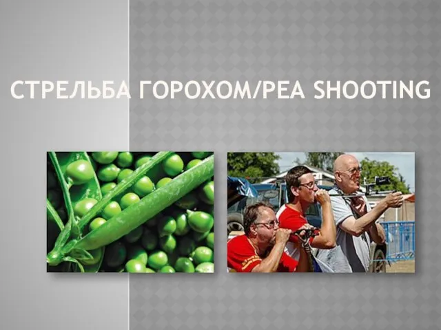 СТРЕЛЬБА ГОРОХОМ/PEA SHOOTING